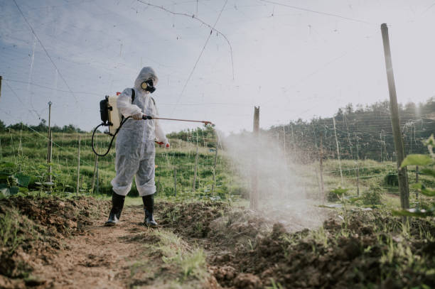 Best Best Pest Control Companies  in Fruitport, MI