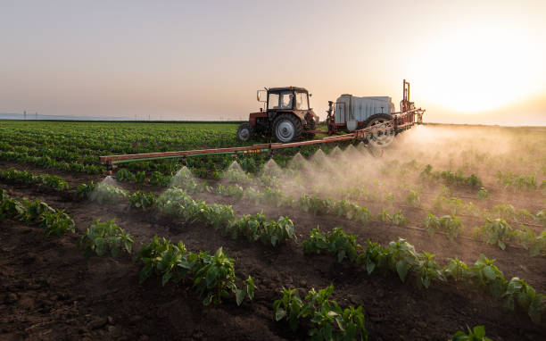 Best Pest Control for Businesses  in Fruitport, MI