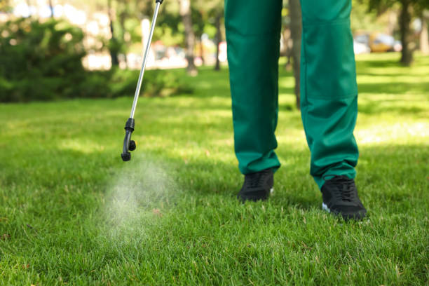 Best Cockroach Control Services  in Fruitport, MI