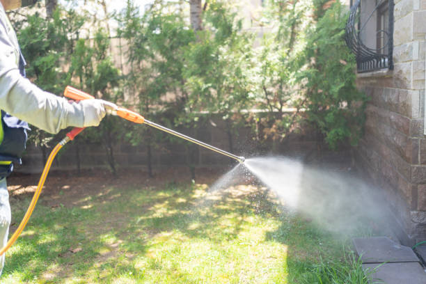 Professional Pest Control in Fruitport, MI