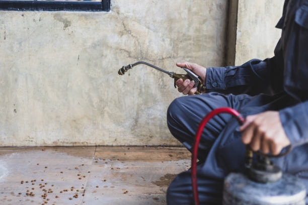 Best Pest Inspection Near Me  in Fruitport, MI